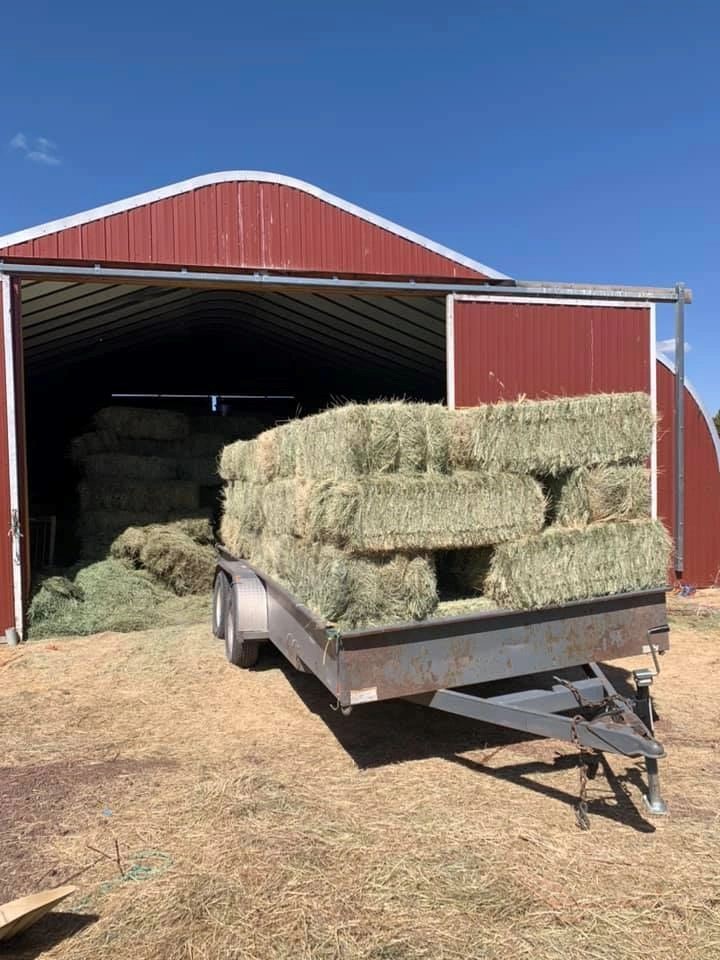 A stack of hay bales on a tractor, in front of a hay storage house